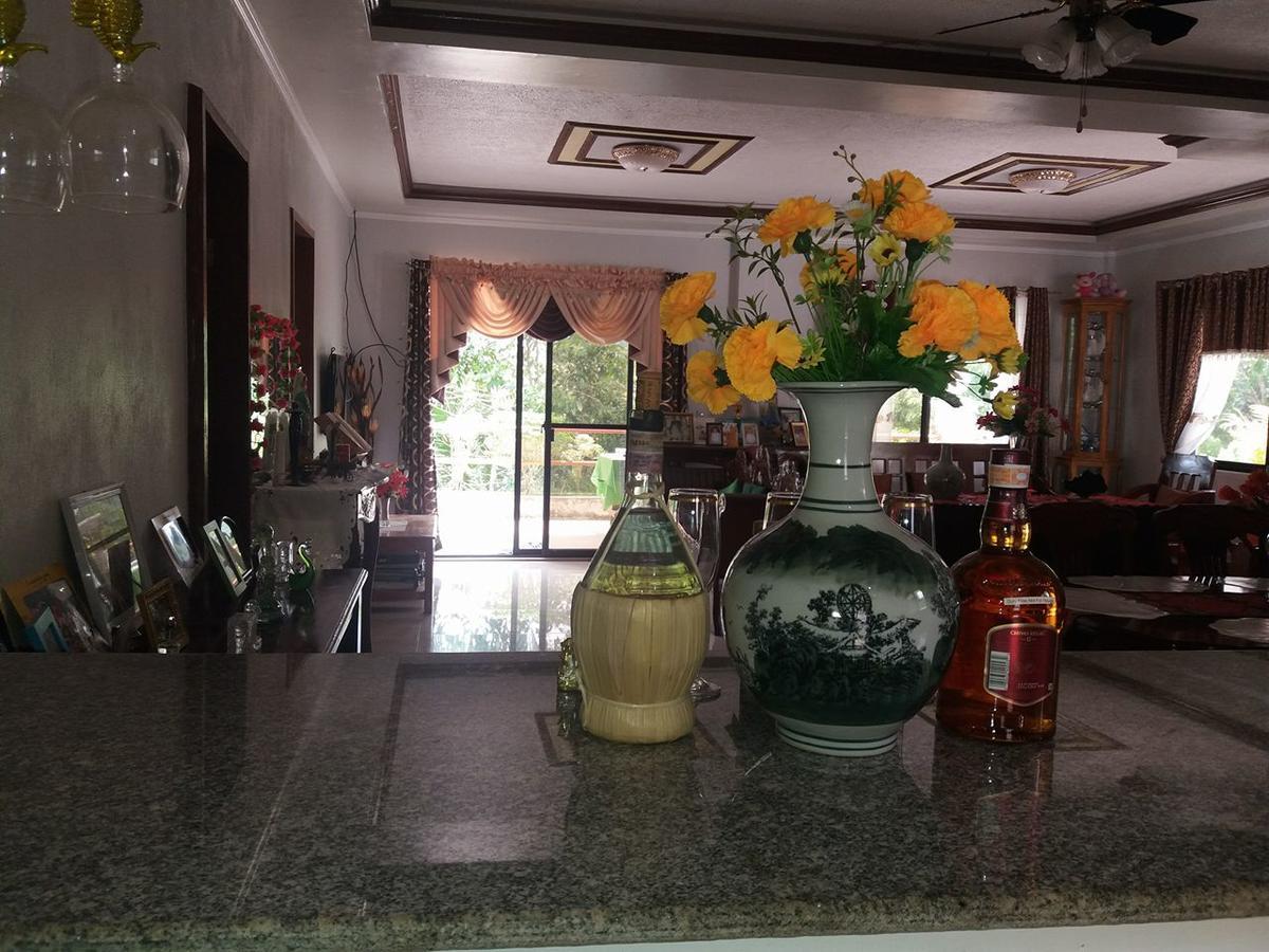 Villa Feliza Loboc Extérieur photo
