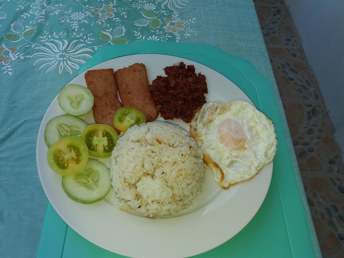 Villa Feliza Loboc Extérieur photo